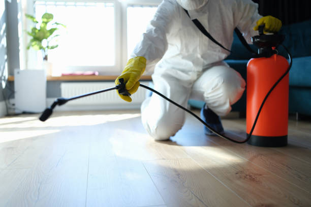 Reliable Biohazard Cleanup contractor in Joshua Tree, CA by Trauma Clean Pros